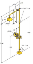 Load image into Gallery viewer, Safety Shower Model 4220 - Floor Mounted Eyewash and Shower